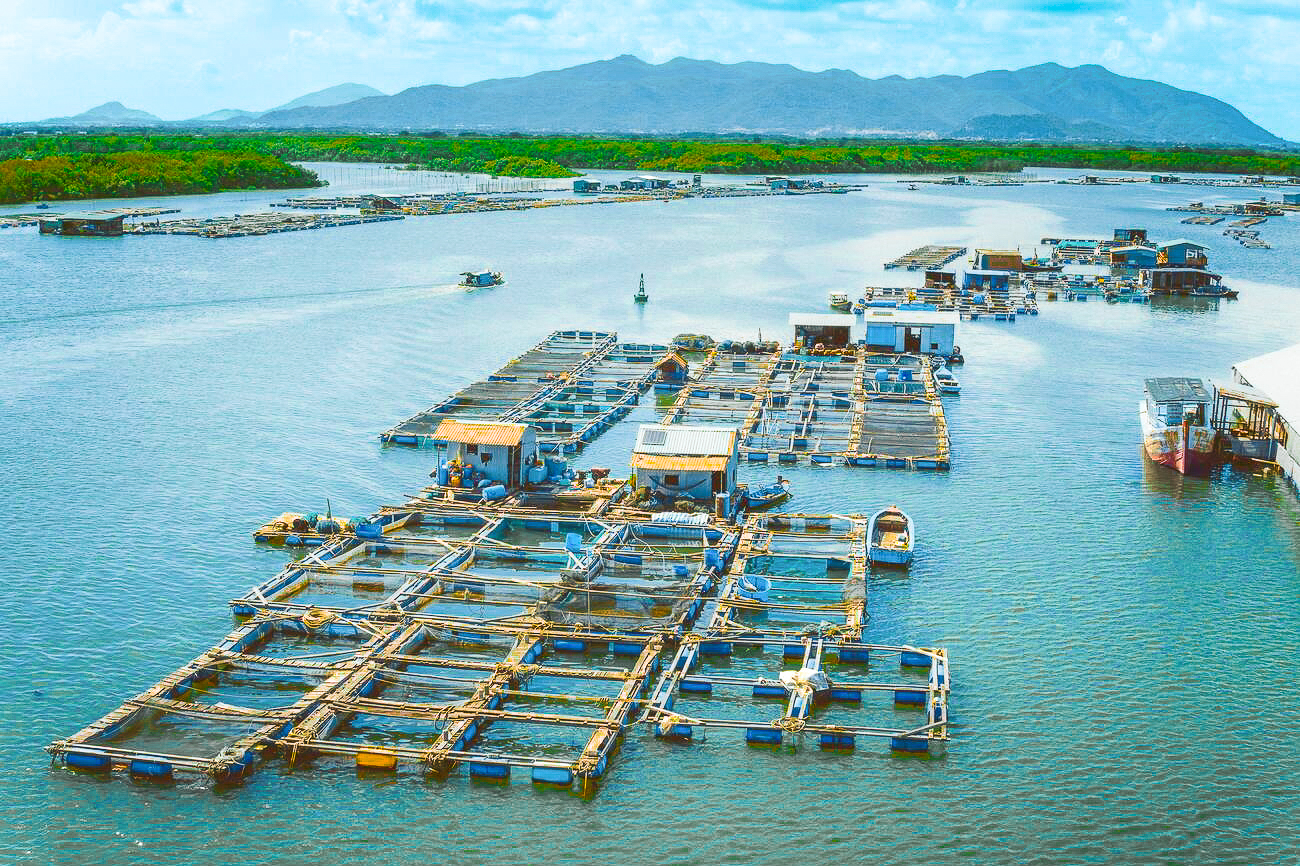 long son raft valley